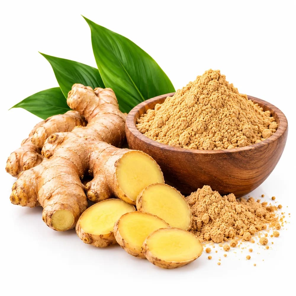 Fresh ginger roots, slices and ginger powder in a wooden bowl